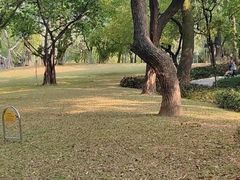-晓港公园