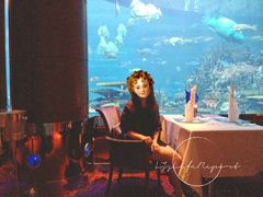 -迪拜帆船酒店海底餐厅
