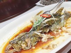 -香丰阁·烤鸭·川湘菜(清河店)