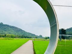 -艾米稻香小镇