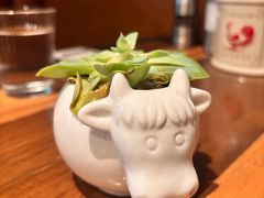 -FAT COW(静安寺店)