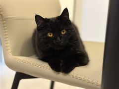 -中农国际动物医院24小时·猫科·骨科·急重症中心