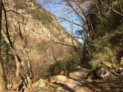 -青峰峡国家森林公园