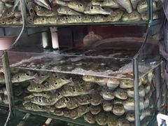 -众彩物流水产市场