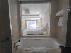 -南京东郊国宾馆