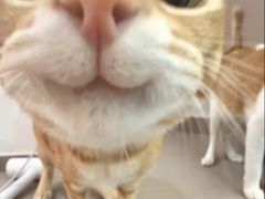 -区海鸡场饭店(石壁店)