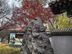 -丰台花园