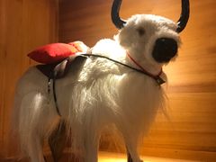 -蜀滋香鲜鱼火锅(黄金路店)