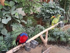 -南宫五洲植物乐园