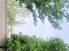 -侵华日军南京大屠杀遇难同胞纪念馆