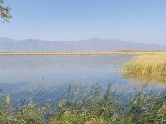 -野鸭湖国家湿地公园