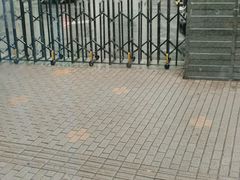 -上海交通大学医学院附属瑞金医院(总院)
