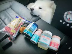 -柚子宠物(伊珊娜调理店)