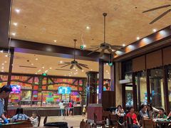-雨林餐厅(长隆海洋王国店)
