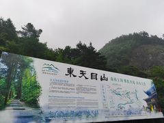 -东天目山风景区