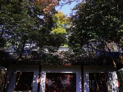 -上海佘山国家森林公园天马山园