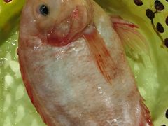 -小海豚•老字号海鲜餐厅(天涯店)