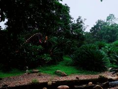 -华南国家植物园-售票处