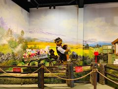 -济州岛泰迪熊博物馆