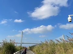 -芒洲湿地公园