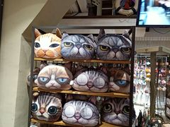 -猫咪博物馆(顶澳仔猫街店)