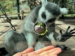 -水上乐园·欢乐世界