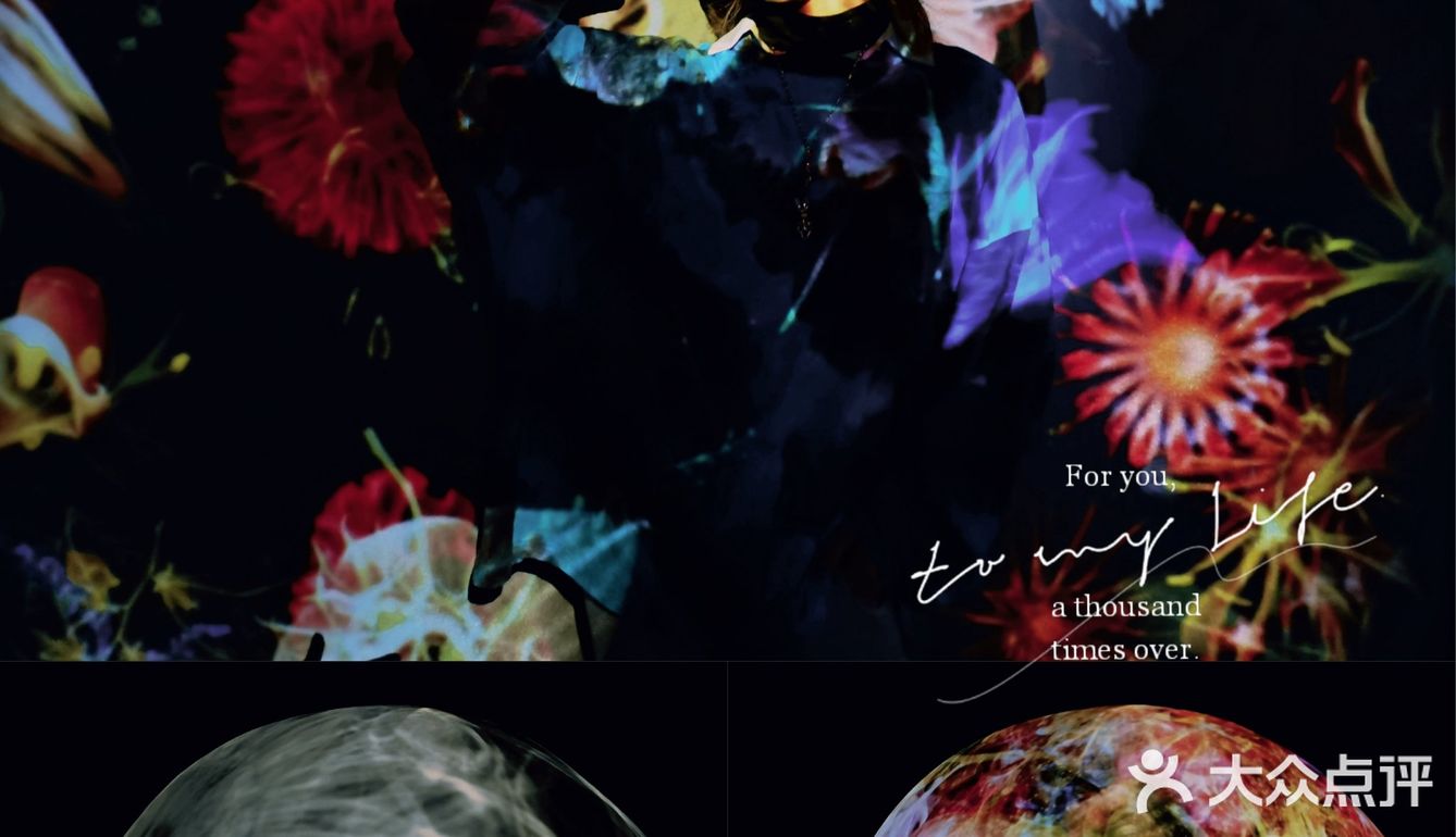 魔都展览｜B.A绽放生命之美沉浸式艺术展