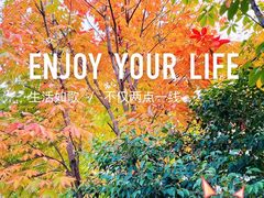 -洨河生态公园