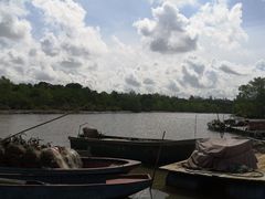 -东寨港红树林旅游区