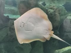 -珠海长隆海洋王国