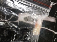 -王晓峰牙科(府前街院区)