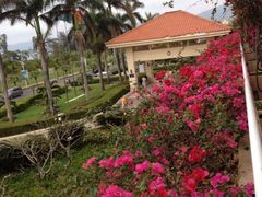 -三亚亚龙湾金棕榈度假酒店