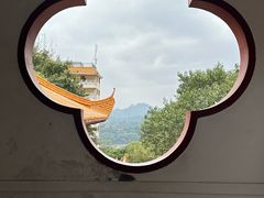 -深圳仙湖植物园