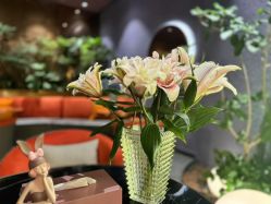 -花隐·美芙炫海菲秀皮肤管理中心