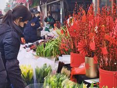 -秦美花卉(天朗·莱茵小城2期店)