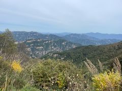 -灵山