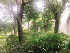 -宁波九龙湖开元度假村