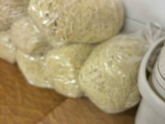 -松树干拌面店