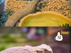 -正佳雨林生态植物园