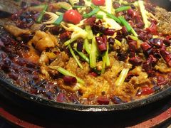 -老板恋上鱼(恒隆广场店)