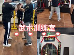 -温鉴良实用咏春拳