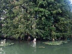 -白塘生态植物园