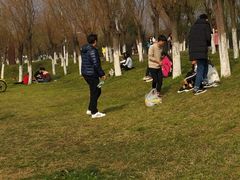 -艾溪湖湿地公园