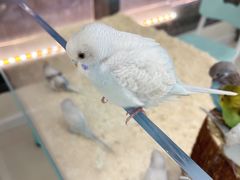 -怪兽屋·羊驼·猫咖·狗咖(俊华广场店)