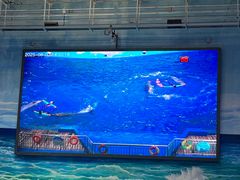 -多彩贵州城极地海洋世界