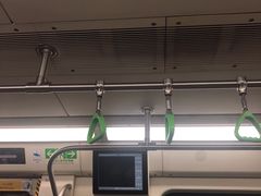 -大望路(地铁站)