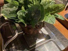 -歪胖子·山野鲜货火锅(南通长江镇店)