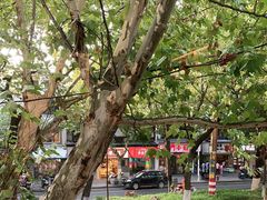 -五娭毑臭豆腐(黄兴南路店)