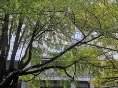 -四川大学(华西校区)