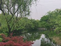 -西溪国家湿地公园